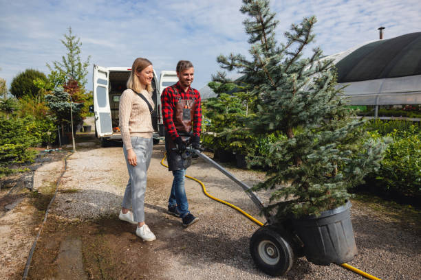 Best Sod Installation  in USA